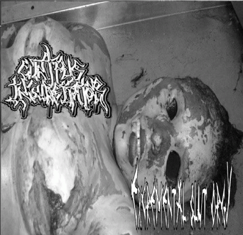 Cunt Pus Ingurgitator : Excremental Slut Orgy - Cunt Pus Ingurgitator